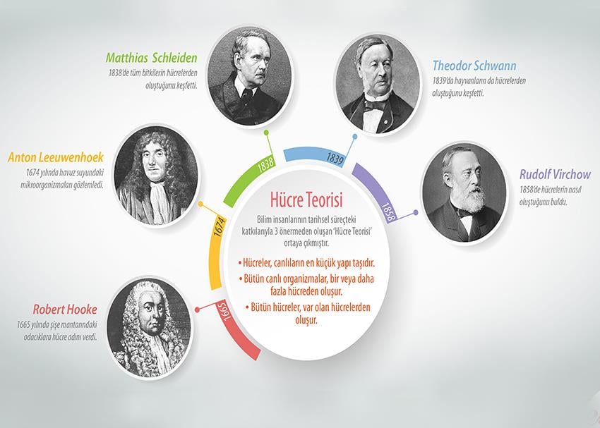 Hücre Teorisi P BİY 51