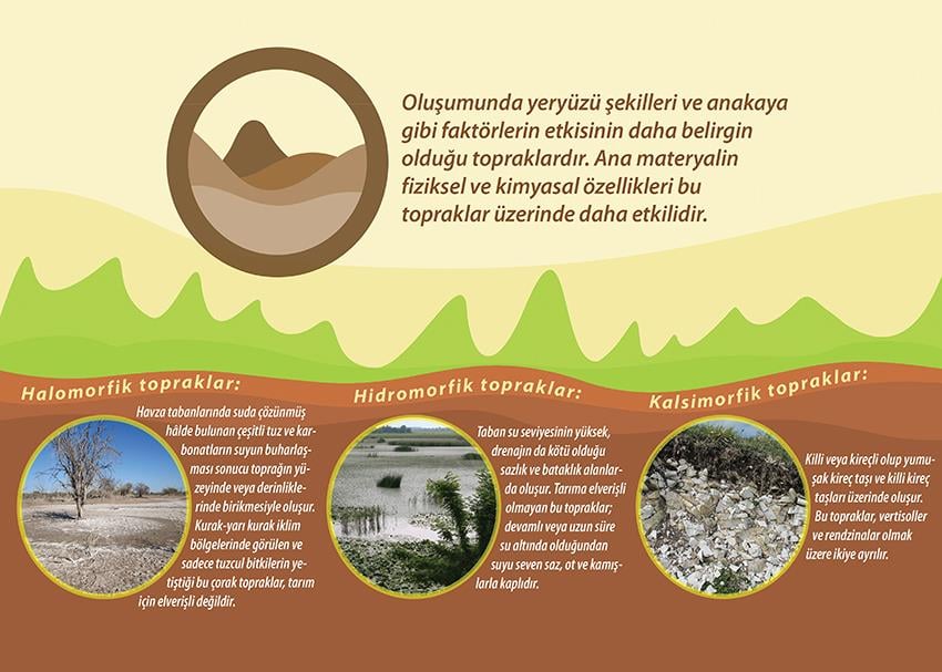 İntrazonal Topraklar P COG 18