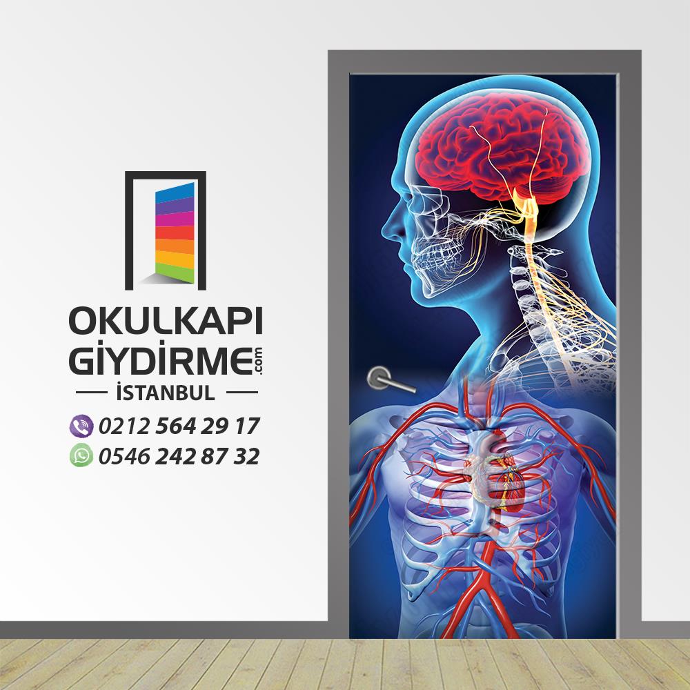 Kapı Giydirme Biyoloji KG BİY 18