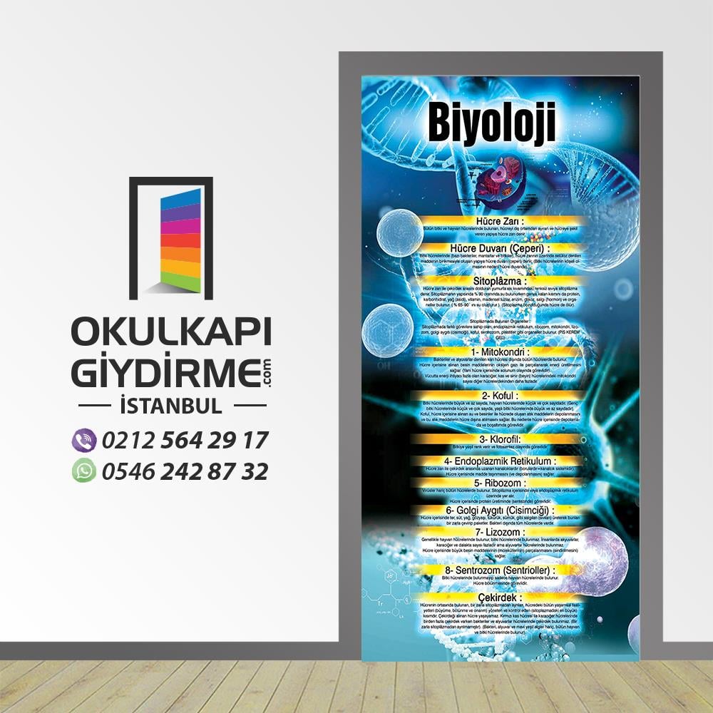 Kapı Giydirme Biyoloji Sınıfı KG BİY 08