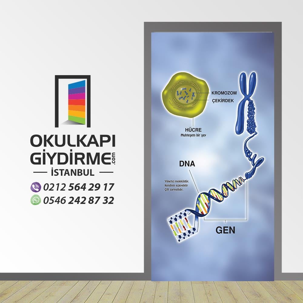 Kapı Giydirme Kromozom KG BİY 11