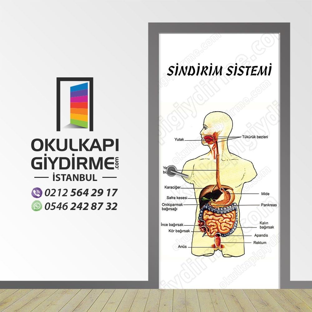 Kapı Giydirme Sindirim Sistemi KG S 05