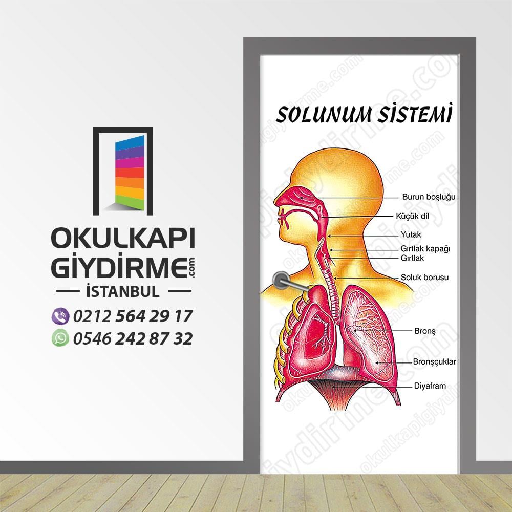 Kapı Giydirme Solunum Sistemi KG S 07 
