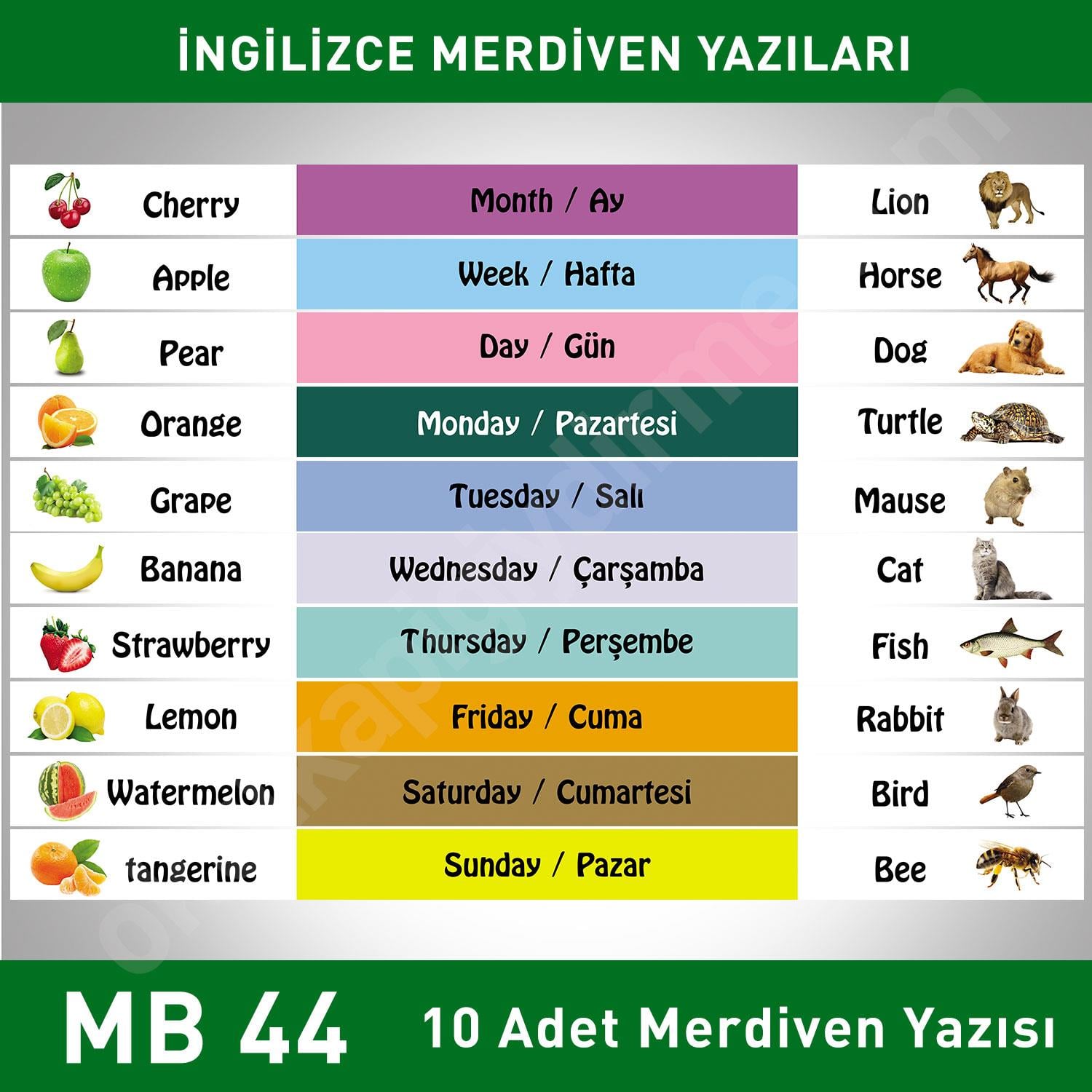 Merdiven Yazıları İngilizce MB 044