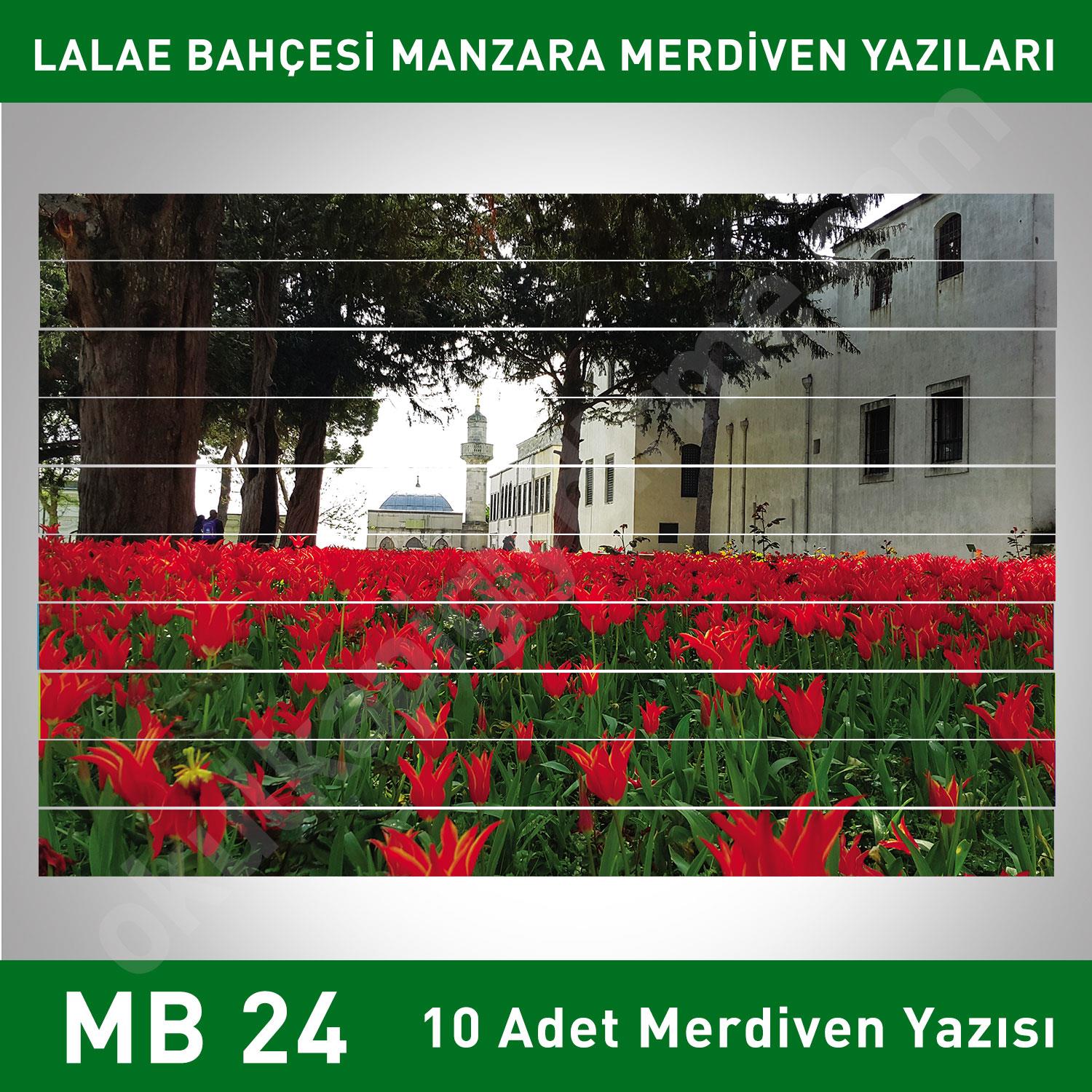 Merdiven Yazıları Manzara MB 024