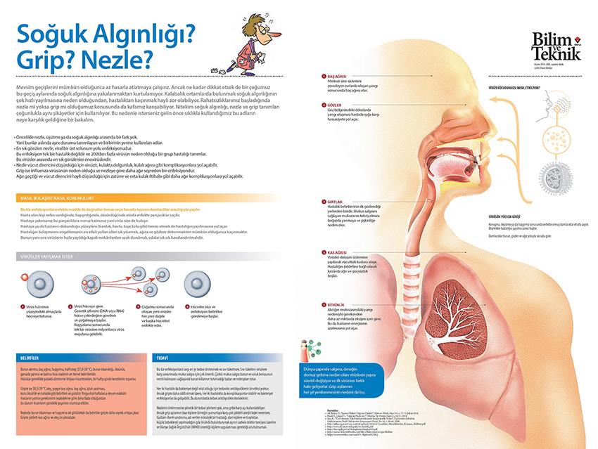 Soğuk Algınlığı P SP 02