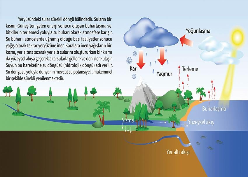 Su Döngüsü P COG 44