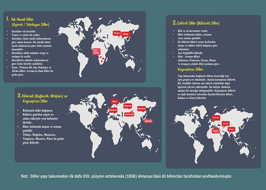 Yapı Bakımından Diller P EDB 43
