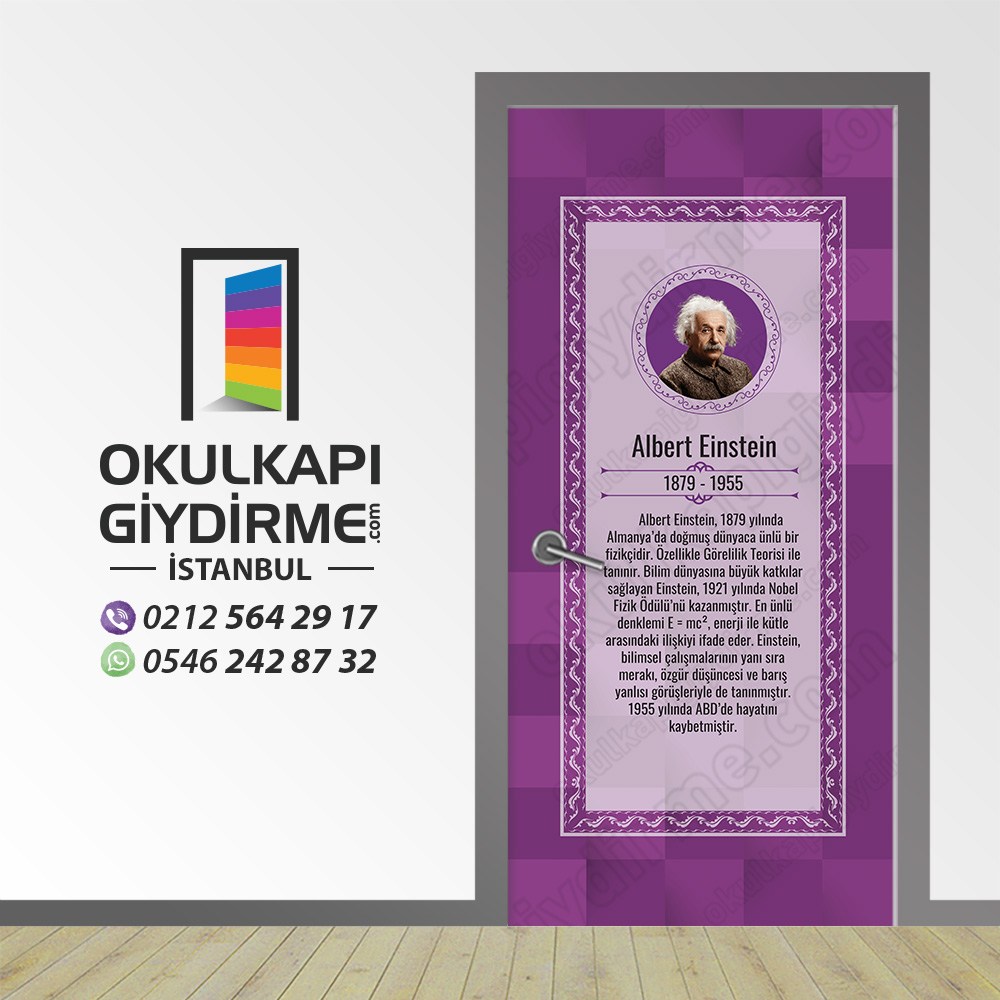 Kapı Giydirme Albert Einstein KG Bİ 112