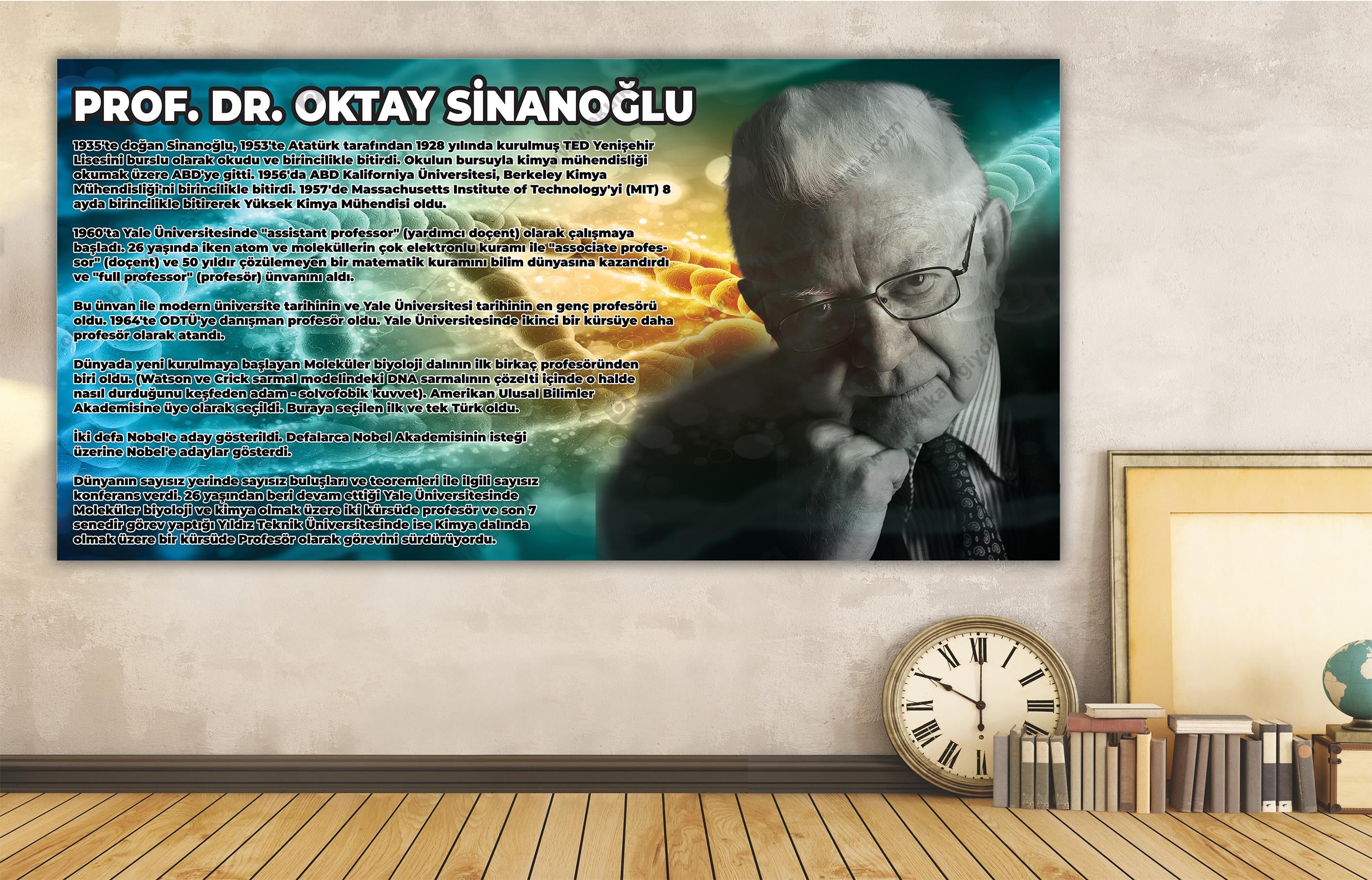 Prof. Dr. Oktay Sinanoğlu DG Bİ 30