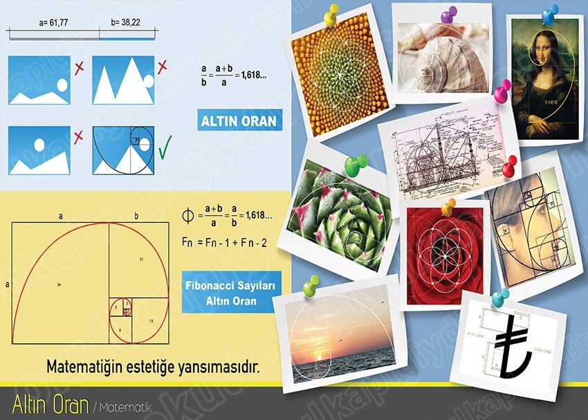 Altın Oran P MAT 03