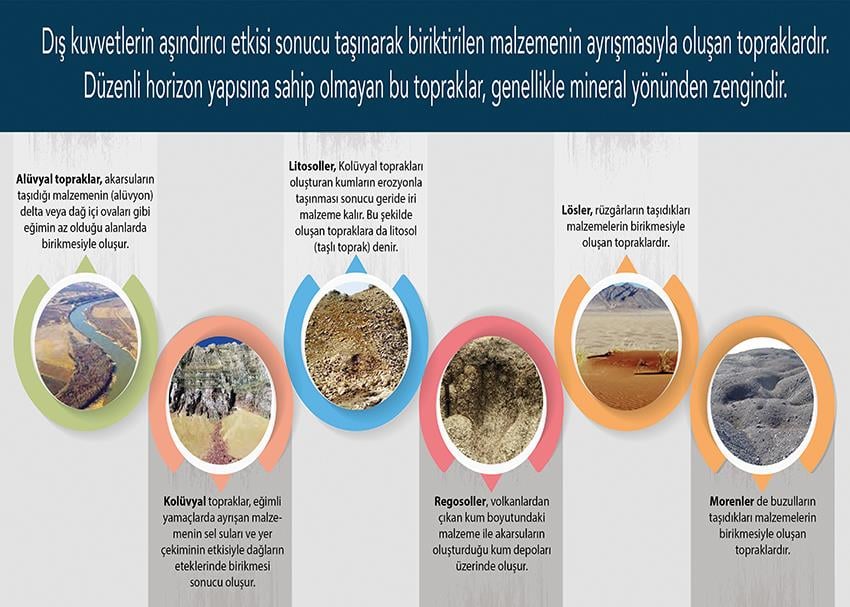 Azonal Topraklar P COG 34