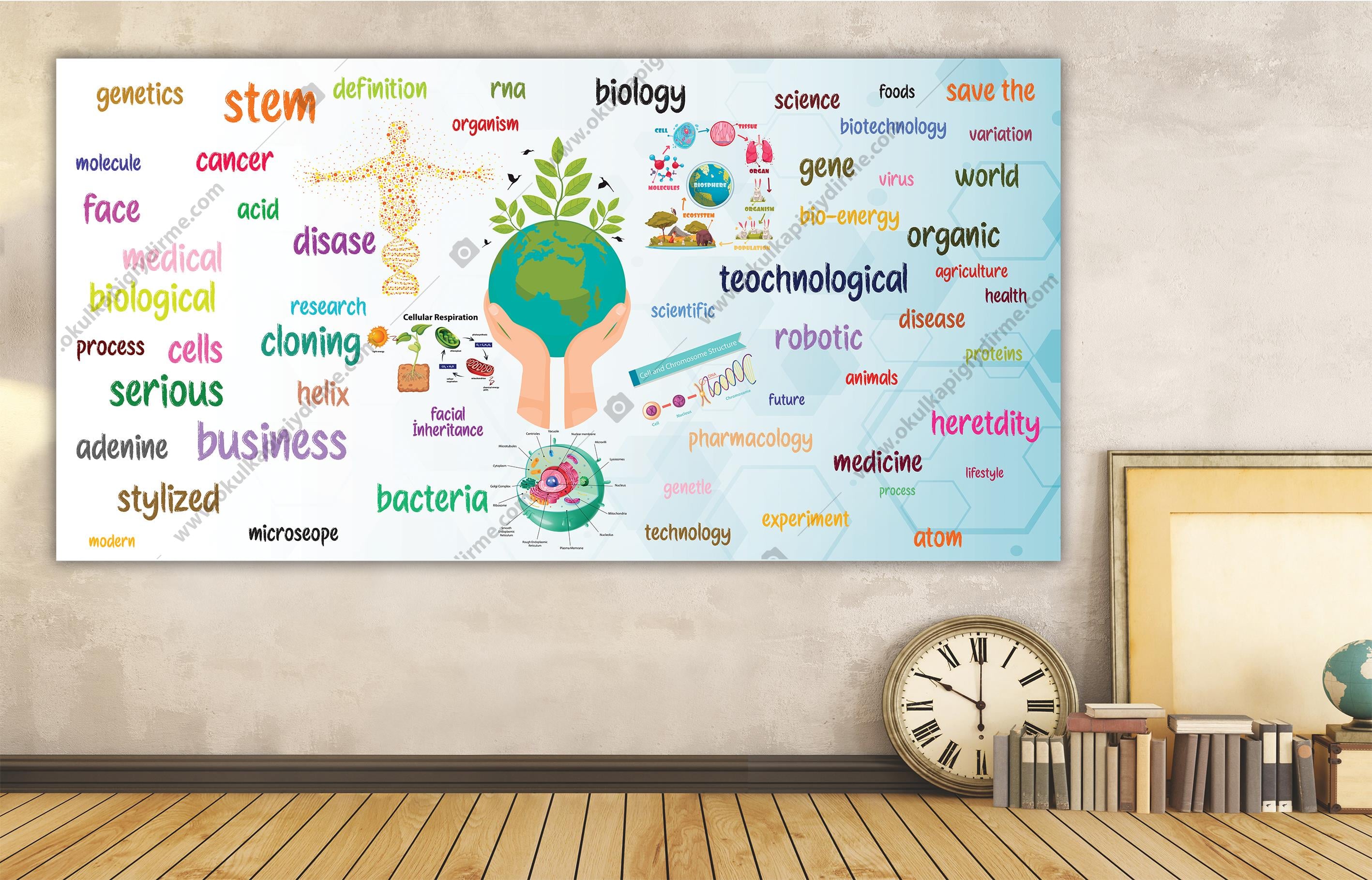 BİYOLOJİ DG BİY 31