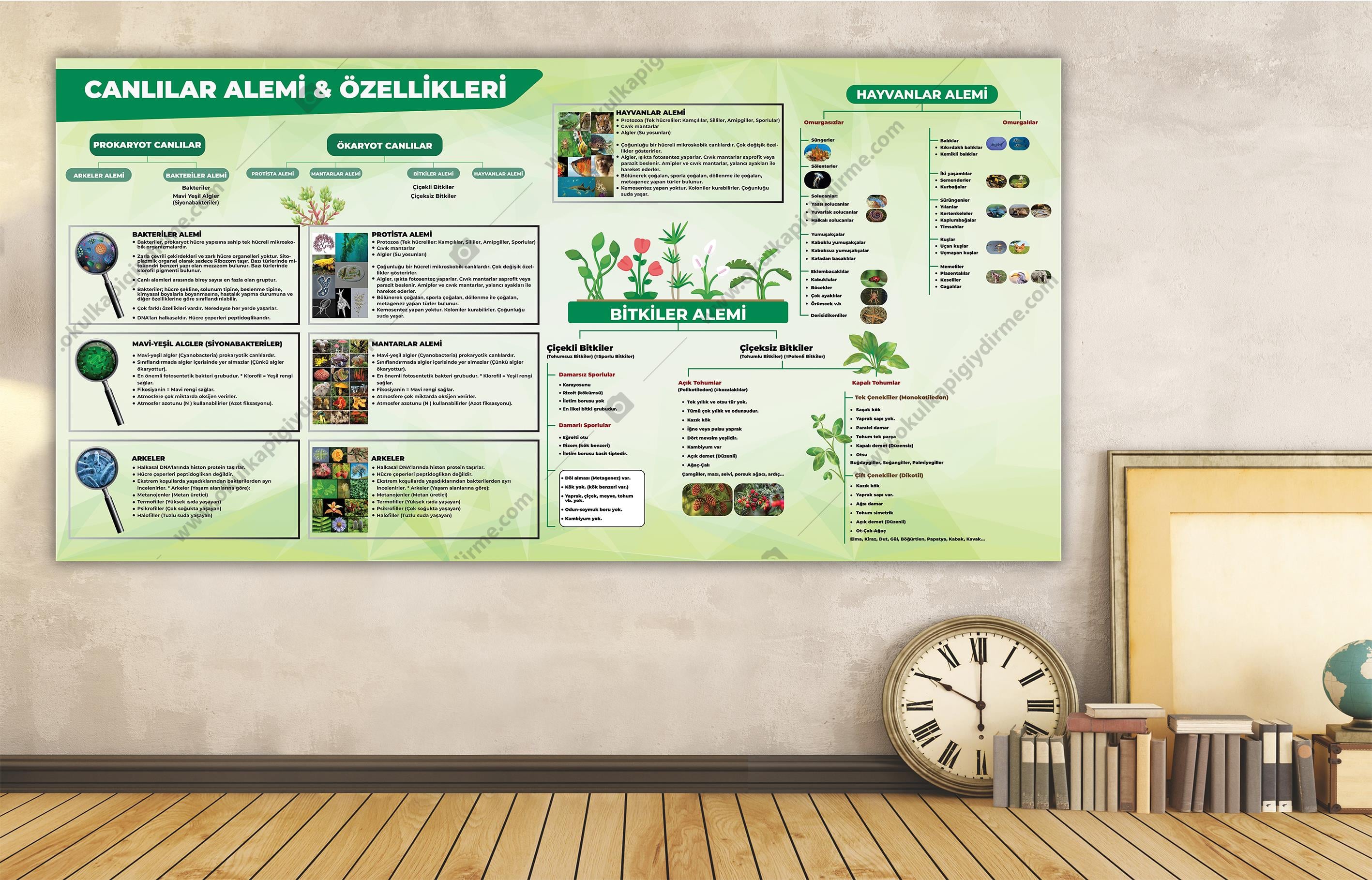 CANLILAR ALEMİ ÖZELLİKLERİ DG BİY 32