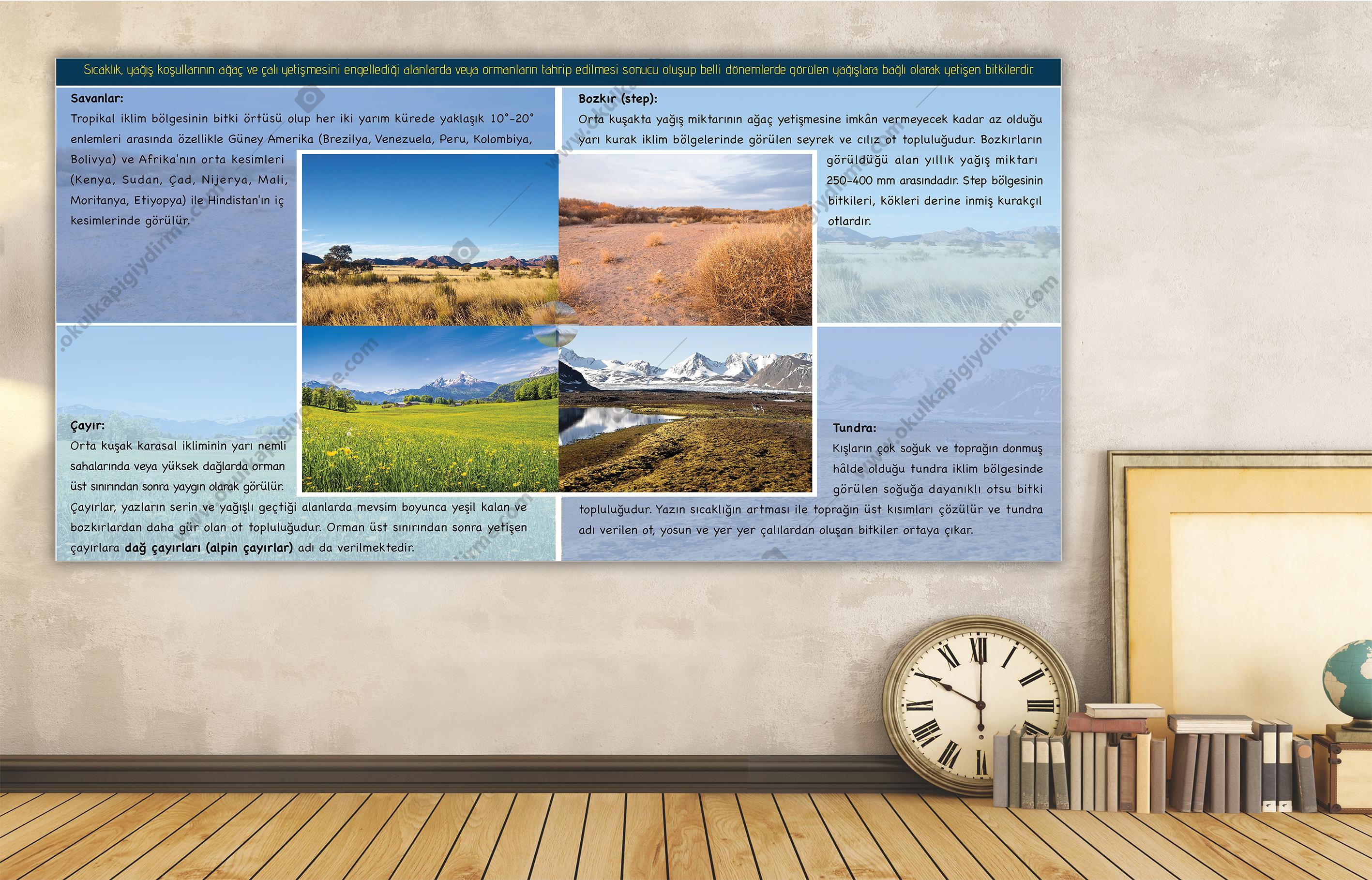 Dünyadaki Bitkiler DG COG 17