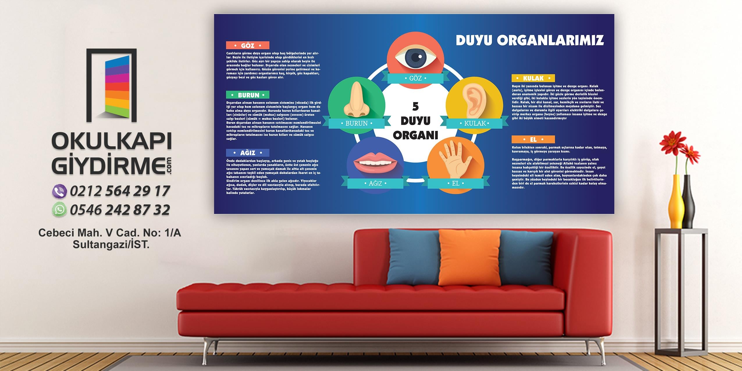 Duvar Giydirme Duyu Organlarımız DG BİY 03