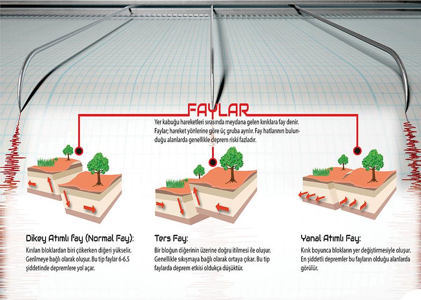 Faylar P COG 56