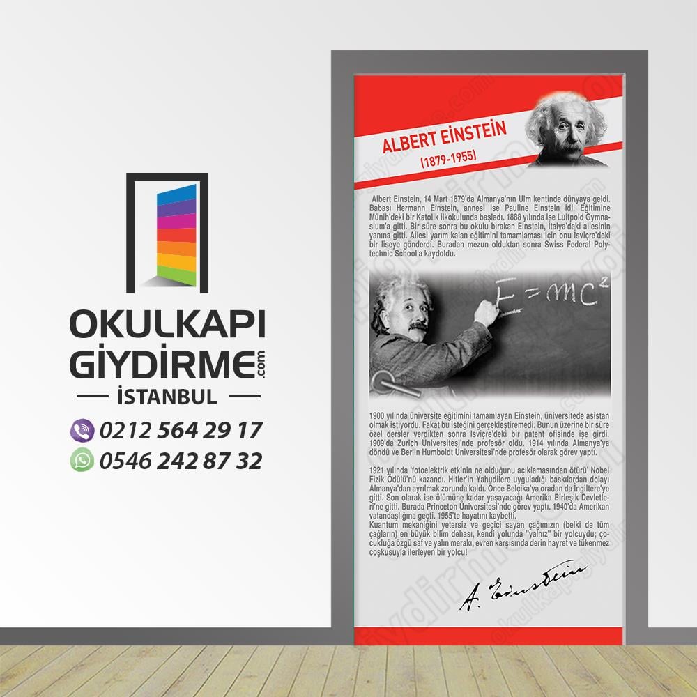 Kapı Giydirme Bilim İnsanları  Albert Einstein KG Bİ 74