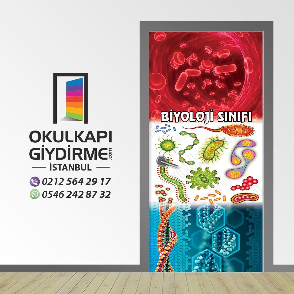 Kapı Giydirme Biyoloji Sınıfı KG BİY 20