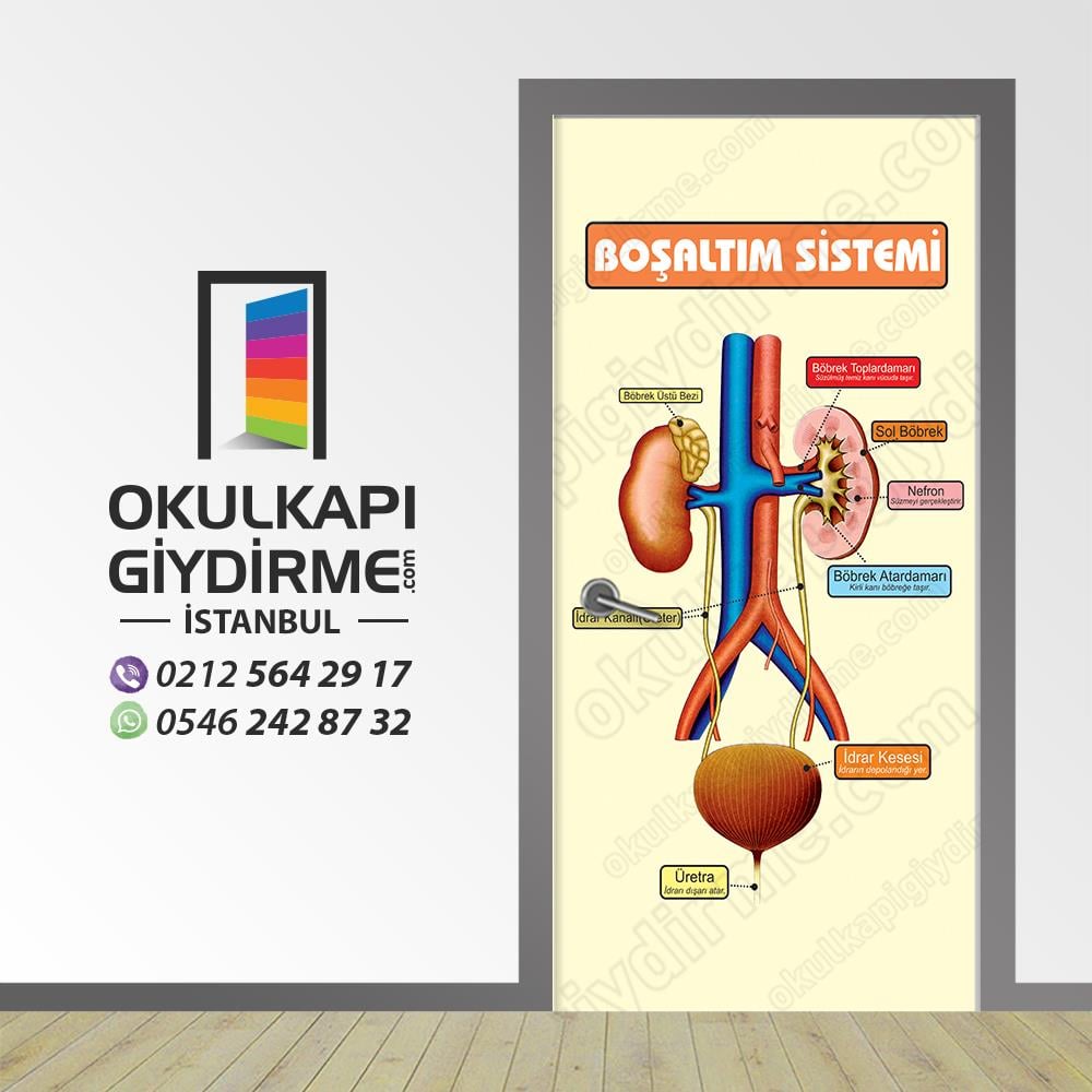 Kapı Giydirme Boşaltım Sistemi KG BİY 16