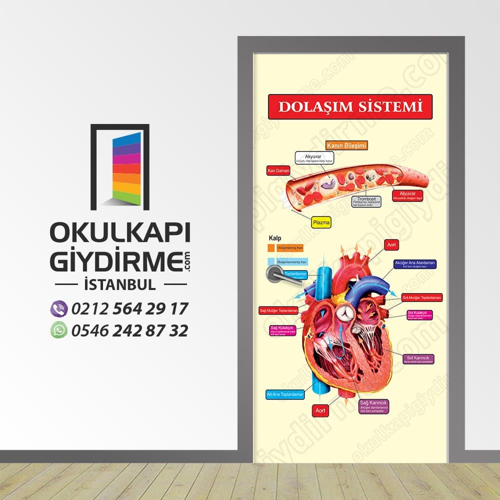 Kapı Giydirme Dolaşım Siistemi KG BİY 17