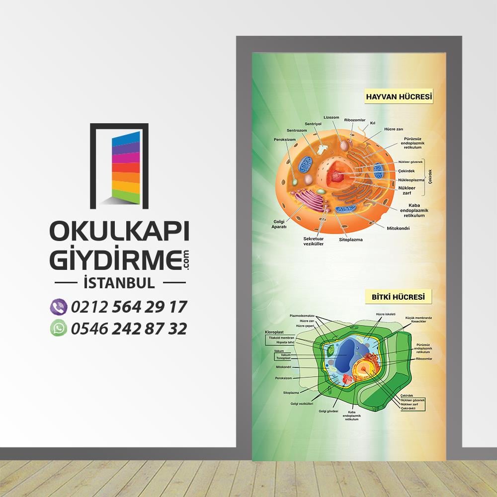 Kapı Giydirme Hücreler KG BİY 10