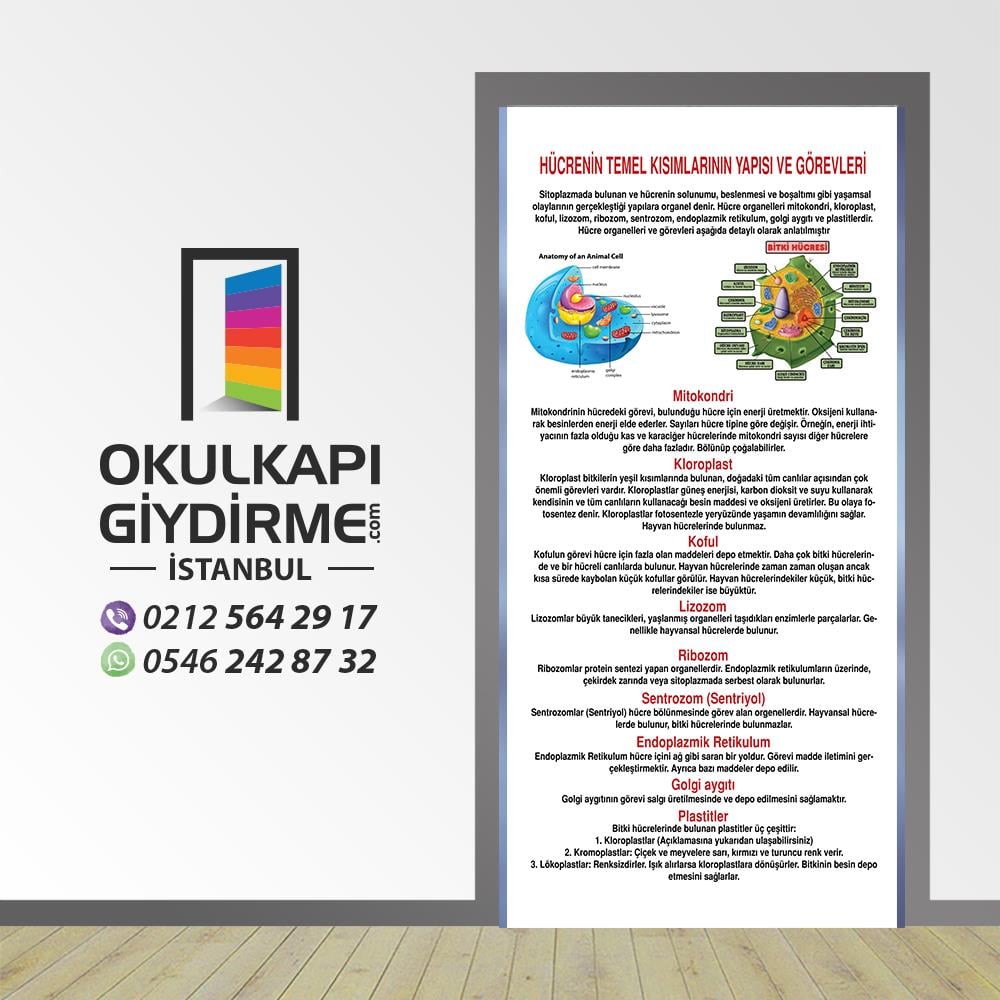 Kapı Giydirme Hücreler KG BİY 12