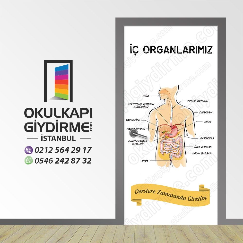 Kapı Giydirme İç Organlarımız Kapı KG S 01