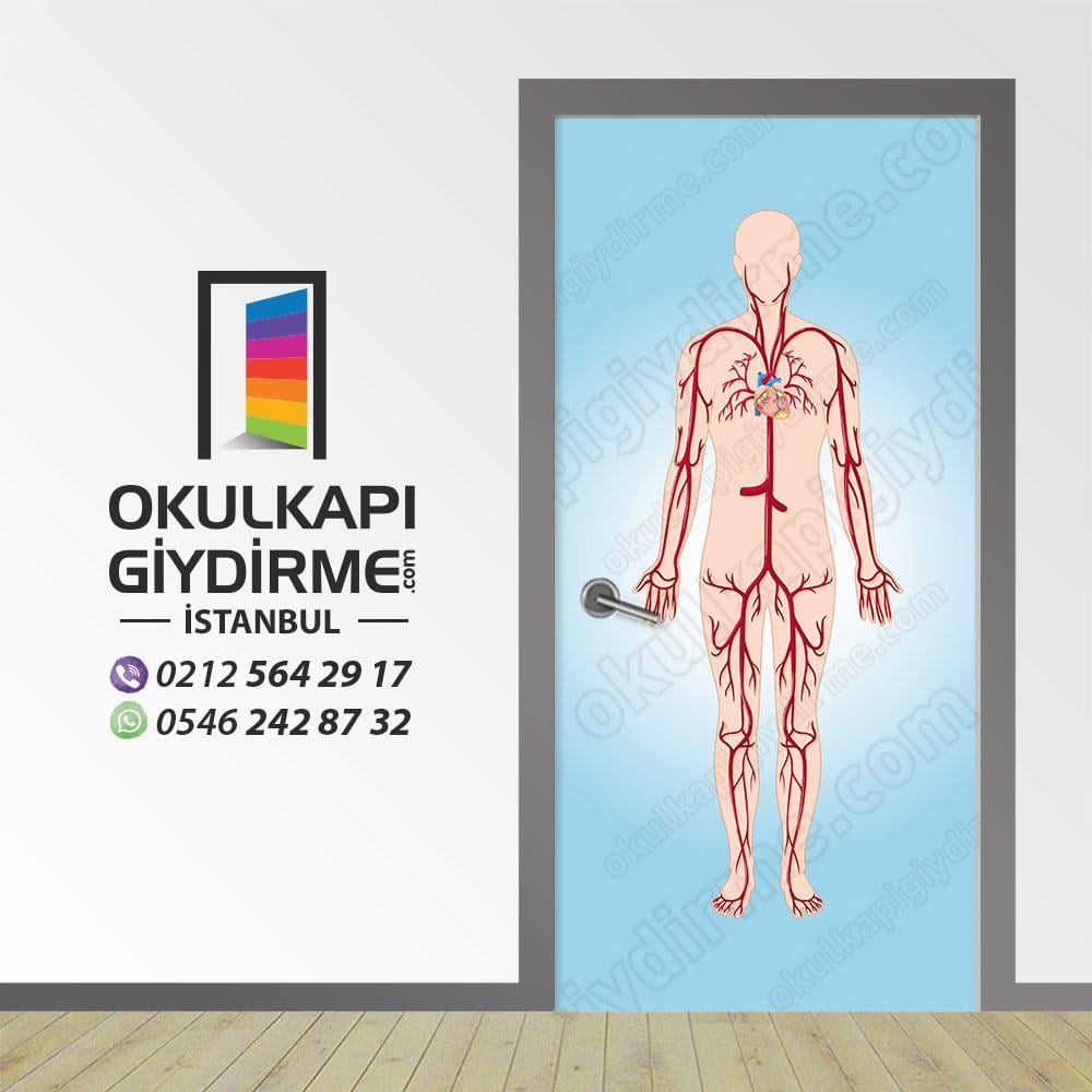 Kapı Giydirme Kan Dolaşımı  KG S 20