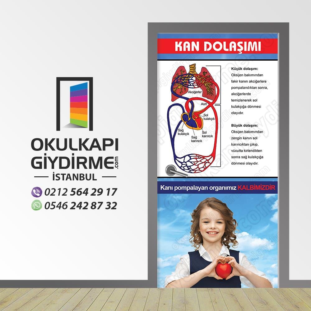 Kapı Giydirme Kan Dolaşımı KG BİY 23