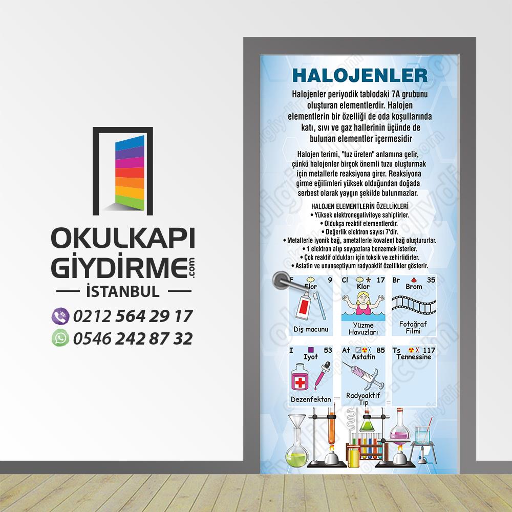 Kimya Halojenler KG KİM 11
