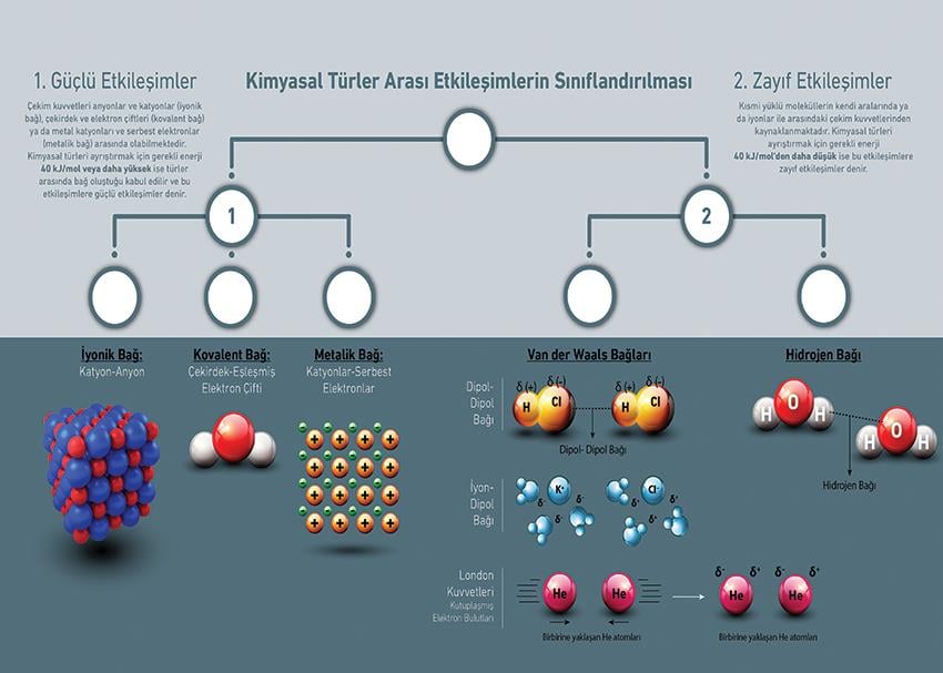 Kimyasal Türler Arası Etkileşimlerin Sınıflandırılması P KİM 15