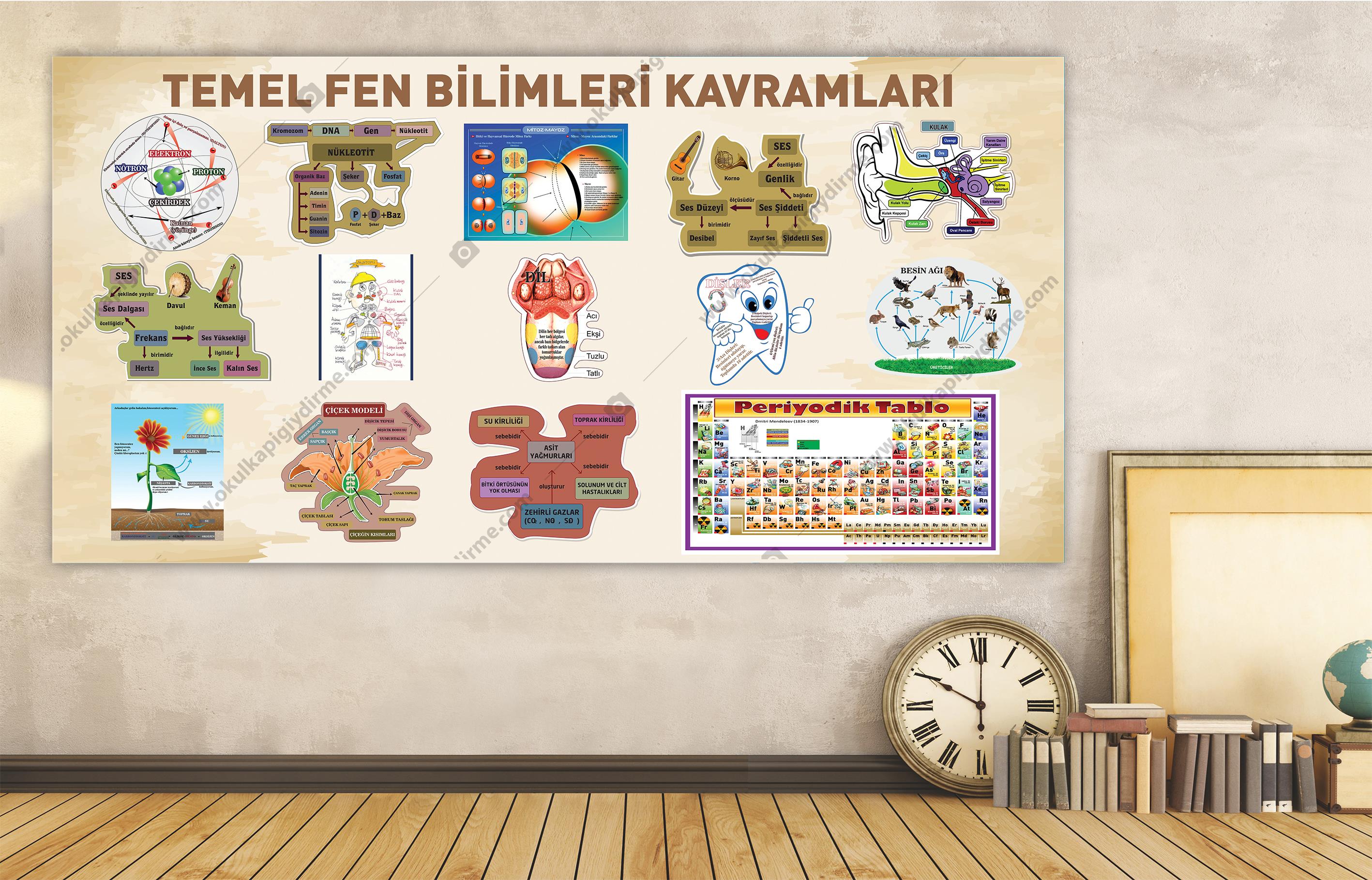 Temel Fen Bilimleri Kavramları DG FB 04