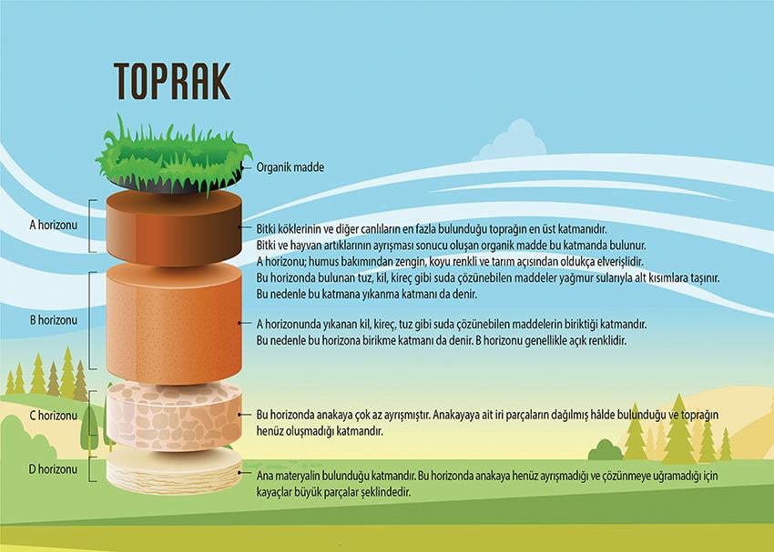 Toprağın Katmanları (Horizonları) P COG 31