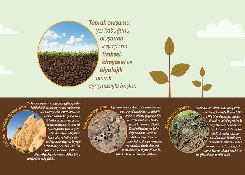 Toprak Oluşumu P COG 19