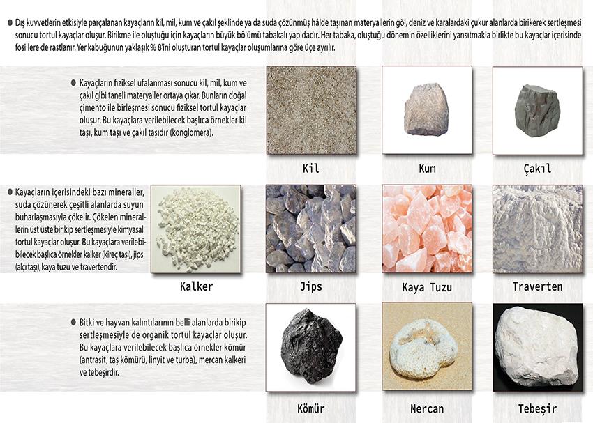 Tortul (Sedimenter) Kayaçlar P COG 52