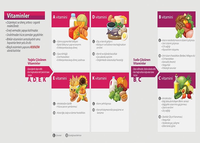 Vitaminler P BİY 56