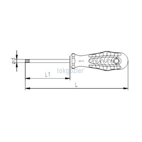 İzeltaş 4775 Torx Uçlu Tornavida (Tork Uçlu) T 20 - 4x100 mm