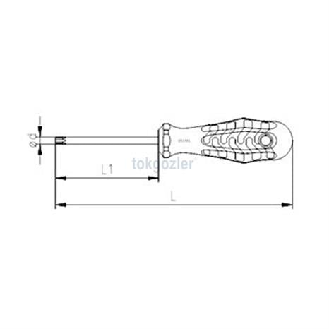 İzeltaş 4776 Delikli Torx Uçlu Tornavida (Tork Uçlu) TR 15 - 4x80 mm