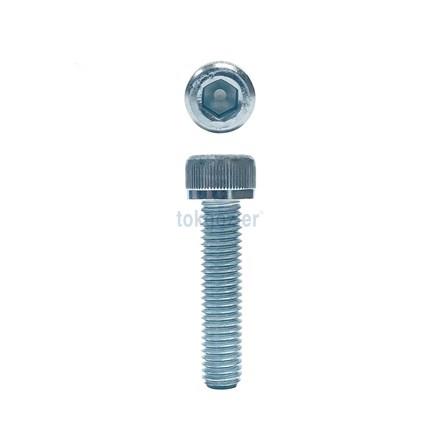 M10x16 DIN 912 İmbus 8.8 Kalite Çelik Cıvata Beyaz