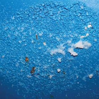 Best SP44 Boya Sökücü 400 ml