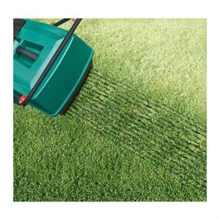 Bosch ALR 900 Çim Havalandırma Makinesi