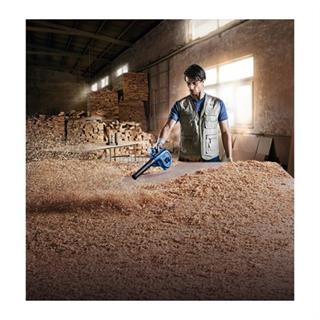 Bosch Profesyonel GBL 800E CE Üfleyici