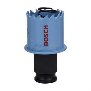 Bosch Sheet Metal Panç - Delik Açma Testeresi 29 mm