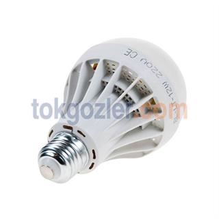 Bulleds 12W Enerji Tasarruflu Led Ampul Beyaz Işık