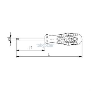 İzeltaş 4775 Torx Uçlu Tornavida (Tork Uçlu) T 25 - 4.5x100 mm