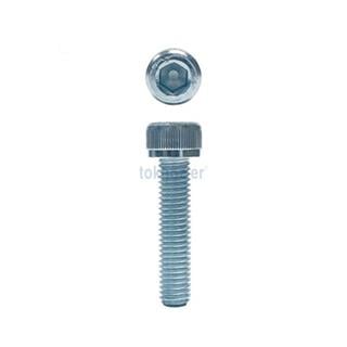 M6x10 DIN 912 İmbus 8.8 Kalite Çelik Cıvata Beyaz