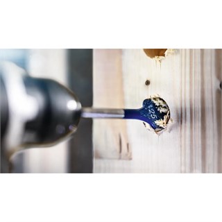 Bosch EXP SCS Yaprak Ahşap Matkap Ucu HEX 10x152 mm - 2608900311