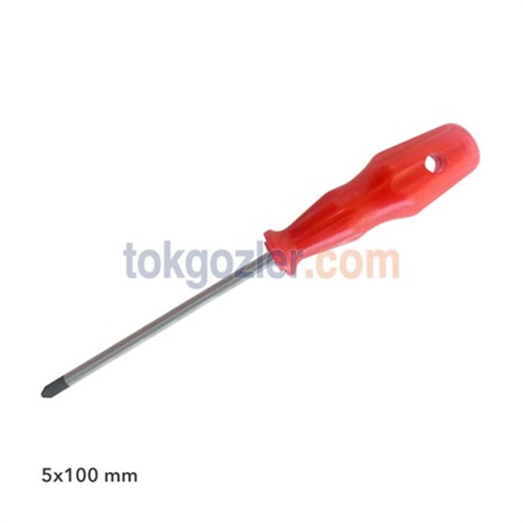 Pro-Scr 02573 Yıldız Uçlu Tornavida 5x100 mm
