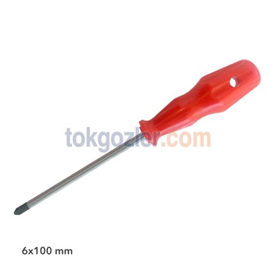 Pro-Scr 02581 Yıldız Uçlu Tornavida 6x100 mm